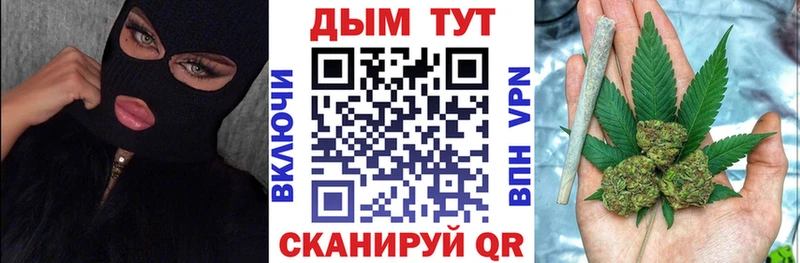 Шишки марихуана конопля Злынка