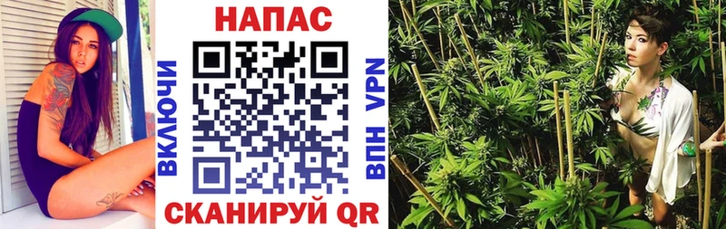 МАРИХУАНА гибрид  купить закладку  Злынка 